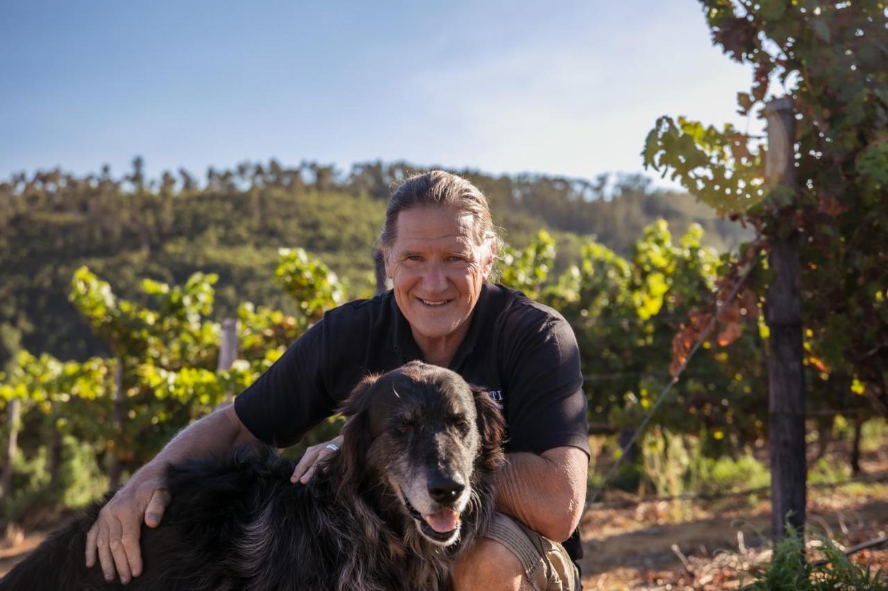 Muratie Wine Estate Στέλενμπος Εξωτερικό φωτογραφία