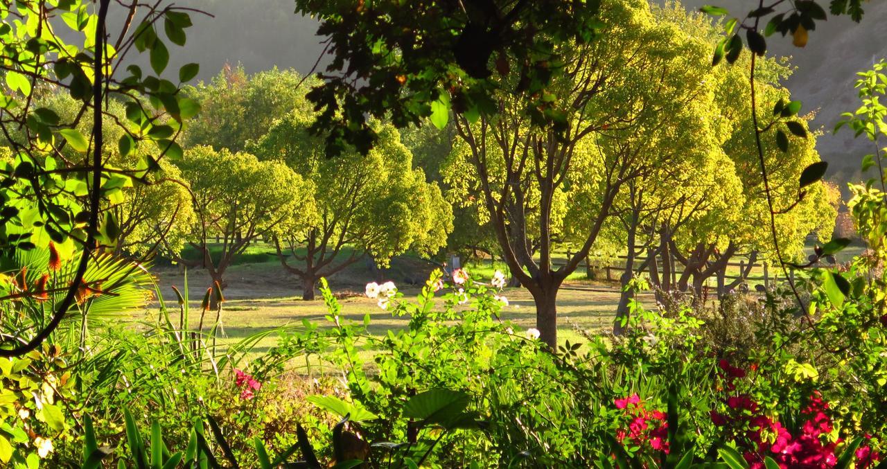 Muratie Wine Estate Στέλενμπος Εξωτερικό φωτογραφία