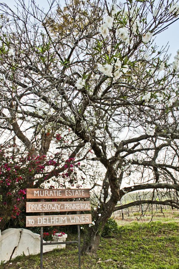 Muratie Wine Estate Στέλενμπος Εξωτερικό φωτογραφία
